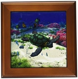 Simone GatterweǥSea Life??Sea Turtle Swims Through The Ocean With Tropic Fish