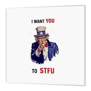 3dRose ht_172494_3 I Want You to Stfu Uncle Sam United States-Iron on Heat Trans