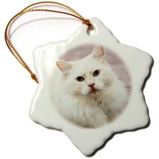 3drose Danita Delimont??Cats??Purebred饰ɡǭFlameݥ??na02?pwo0116??PiperAnne