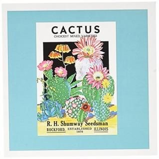 BLNɥѥåReproductions??Cactus ChoicestߥåvarietiesɥѥåShumway Seedsman??
