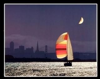 Night Sailing San Francisco Cityܡȥץȥݥ16?x 20