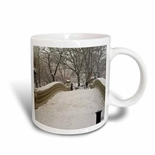 330ml Magic Transforming Mug - 3dRose mug_10313_3 Snow blizzard in Central Park 