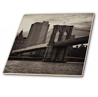 ˡ㥹ƥ󡦥եȥեNYC??֥å󶶡EastѡĤΥԥNYC Skyline?? 6-Inch ct_98343_2