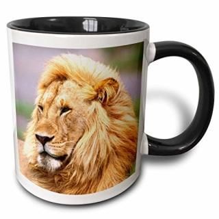 330ml - 3dRose mug_83907_4 Male African Lion Tanzania Africa NA02 DNO0332 David 