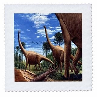 3dRose qs_1008_2 ε ֥饭륹 ȥ6 x 6