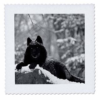 3dRose åޥƥ󥦥ա֥åۥ磻ȥȥ66 qs_100280_2