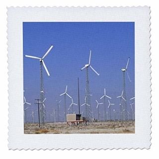 3dRose qs_88138_2 ե˥Υͥ륮ѥɥӥ - US05 BBA0058 - Bill Bachmann - 