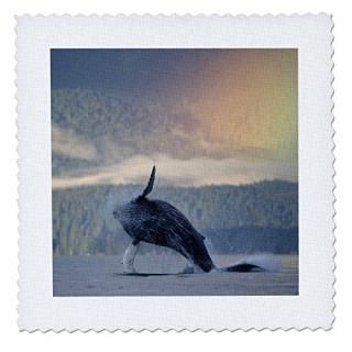 3dRose qs_87621_2 饹󥴡󡢥ϥХå֥꡼ - US02 PSO0613 - ݡ롦 - ȥ