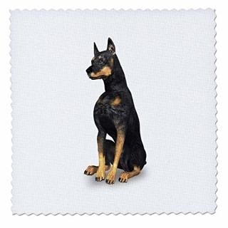 3dRose qs_49215_5 Passoverå&ޥĥ å14 x 14