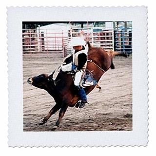 3dRose qs_727_3 ܡȥ˳ݤ 8x8