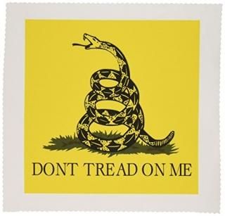 3dRose qs_108323_1 Dont Tread on Me͡10 x 10