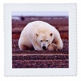 3dRose qs_44936_1 Mama ۥå祯   10 x 10