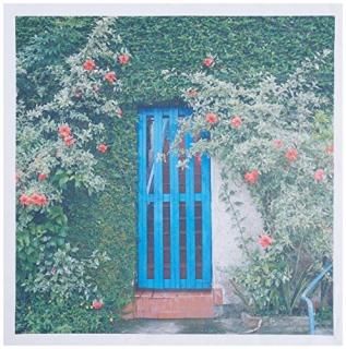 3dRose qs_85656_10 ֥饸롢ꥪǥͥѥءSA04 APA0014  ѥХ ȥ25 x 25