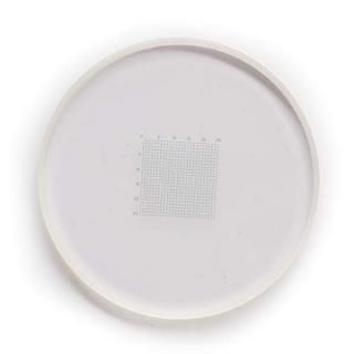 0.2 mm net Shaped Microscope Eyepiece Micrometer net Shaped Eyepiece Ruler Slide