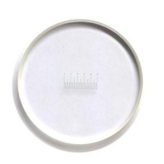 0.1mm feet Shaped Eyepiece Graticule Measuring Glass Eyepiece Micrometer Ocular 