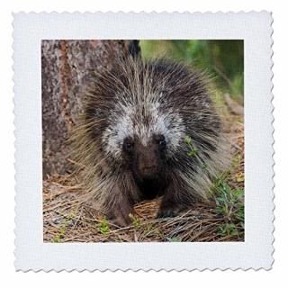 3dRose Garden Flag White