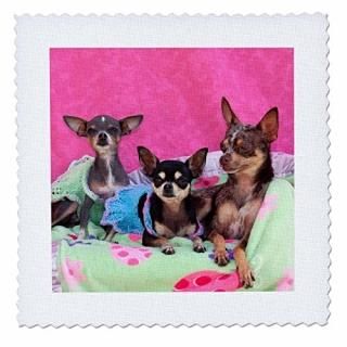 3dRose Garden Flag White