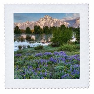 3dRose Garden Flag White