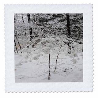 3dRose Garden Flag White