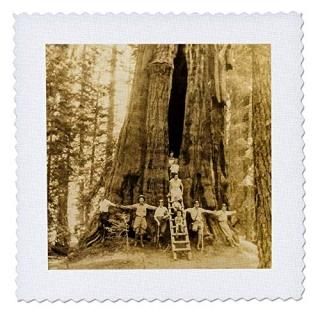 3dRose Garden Flag White