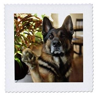 3dRose Garden Flag White