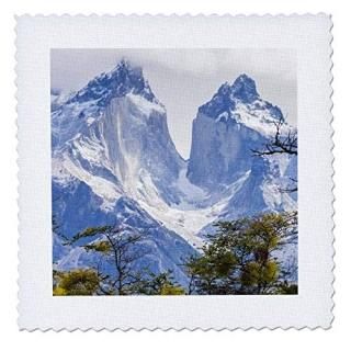 3dRose Garden Flag White