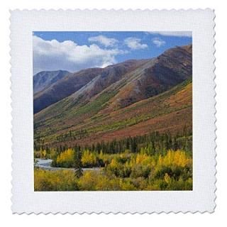 3dRose Garden Flag White