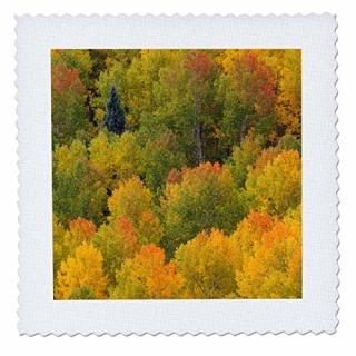 3dRose Garden Flag White