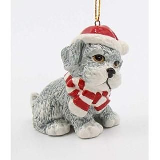 Cosmos GiftsꥹޥWestƥꥢʥȡޥ顼