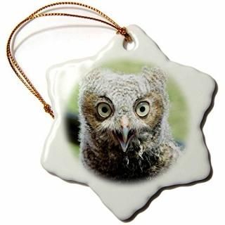 3drose Jackie PoppĻ??Baby Screech Owl??Ornaments 3 inch Snowflake Porcelain Orna