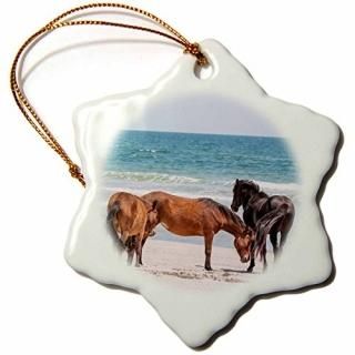 3drose Danita Delimont????Wild MustangsCurrituck NWR顢¦ԡΡ饤ʽ??Orna