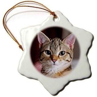 3dTaiche̿??Cat Tabby Cat??Ornaments 3 inch Snowflake Porcelain Ornament orn_