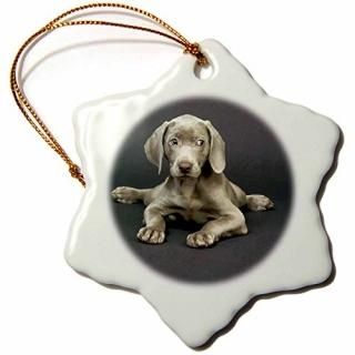 3d磻ޥʡ??磻ޥʡҸ??Ornaments 3 inch Snowflake Porcelain Ornament orn_1094_1