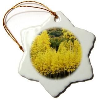 3drose Danita Delimont????Autumn Aspen GroveTellurideɽUSA??us06?swe0001?