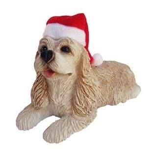 Sandicast Хեåѥ˥ ˹դ ꥹޥʥ