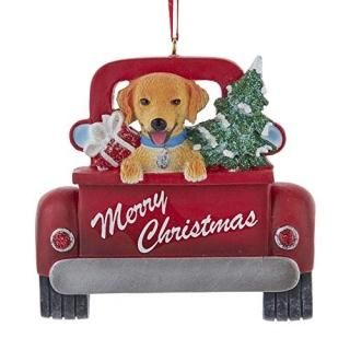 Kurt Adler A1940GO Golden Retriever in Back of Truck Hanging Ornament for Person
