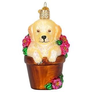 Old World Christmas Ҹ ȭ