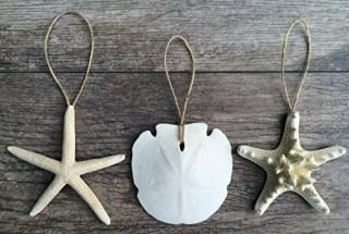 Nautical Crush Trading??ʥۥ磻ȻإҥȥǡSand Dollar and Knobby Starfish Ornaments 