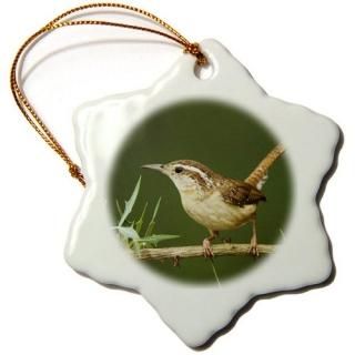 3drose Danita Delimont??Ļ??Carolina Wren Bird On Agaritaҥƥ??na02?rnu0063??