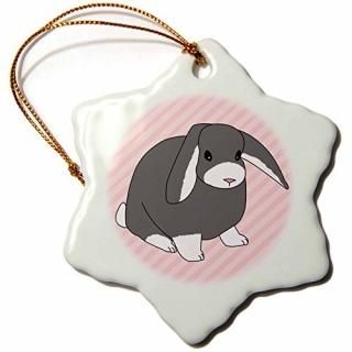 3dJanna Salak Designs Smallڥå??졼Lop Rabbitԥ󥯥ȥ饤ץǥ?? 3 inch Snowfl
