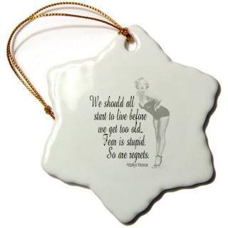 3dToryAnne쥯??桹Ϥ٤Start to Live Before We Get Too Old֥åۥ磻??Ornam