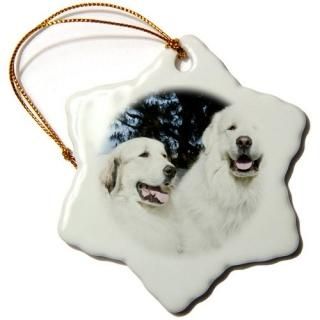 3drose Danita Delimont????Portrait2ĤGreat Pyrenees Dogs??us05?zmu0274??Zandri