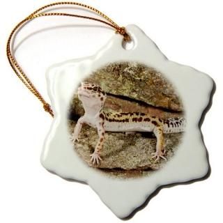 3drose Danita Delimont??Lizards??Leopard Gecko Lizardͥƥ֤˥ѥ??na02?dno0912??