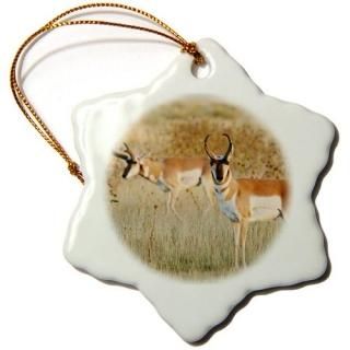 3drose Danita Delimont??Antelopes??Pronghorn Antelope Males in grassland??us32?l