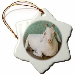 3drose Orn 86874?_˥饰1ʥVilla Esperanza??sa14?jme0086??Lisa Merrill