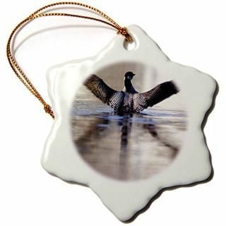 3drose Danita Delimont??Ļ??MinnesotaϥӤĻLeech??us24?pha0005??Peter Hawkin