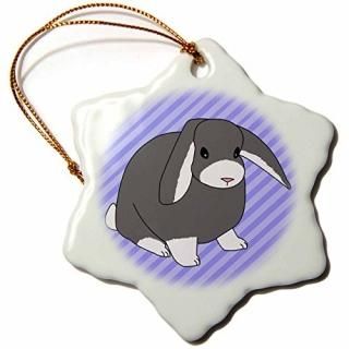 3dJanna Salak Designs Smallڥå??Lop졼??֥롼ȥ饤ץǥ?? 3 inch Snowflake 