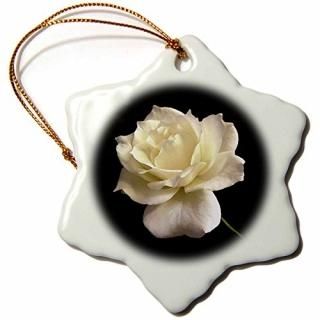 3dRose Flowers - ۥ磻ȥ - ʥ 3 inch Snowflake Porcelain Ornament orn_4203_1