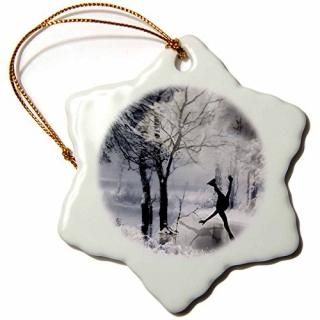 3dDoreen Erhardtꥹޥ쥯??ޥ륨åSkating On A Frozen Pond in a㥷