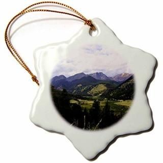 3dEdmond Hogge Jr Nature??åޥƥΩ??Ornaments 3 inch Snowflake Porcelain